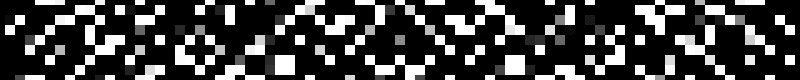 800x80 beta
