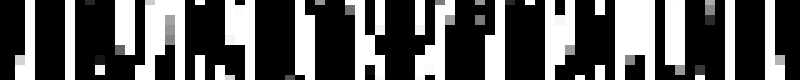 800x80 gamma